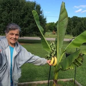 Meet your Posher, Nadine